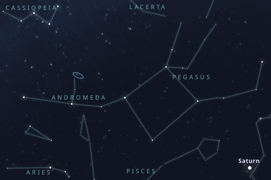 image of the constellation pegasus