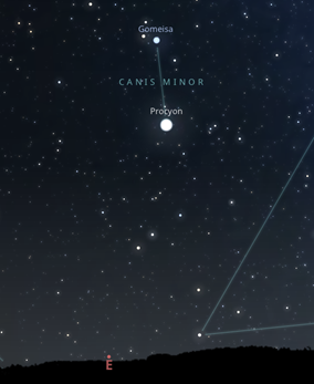 Canis minor constellation