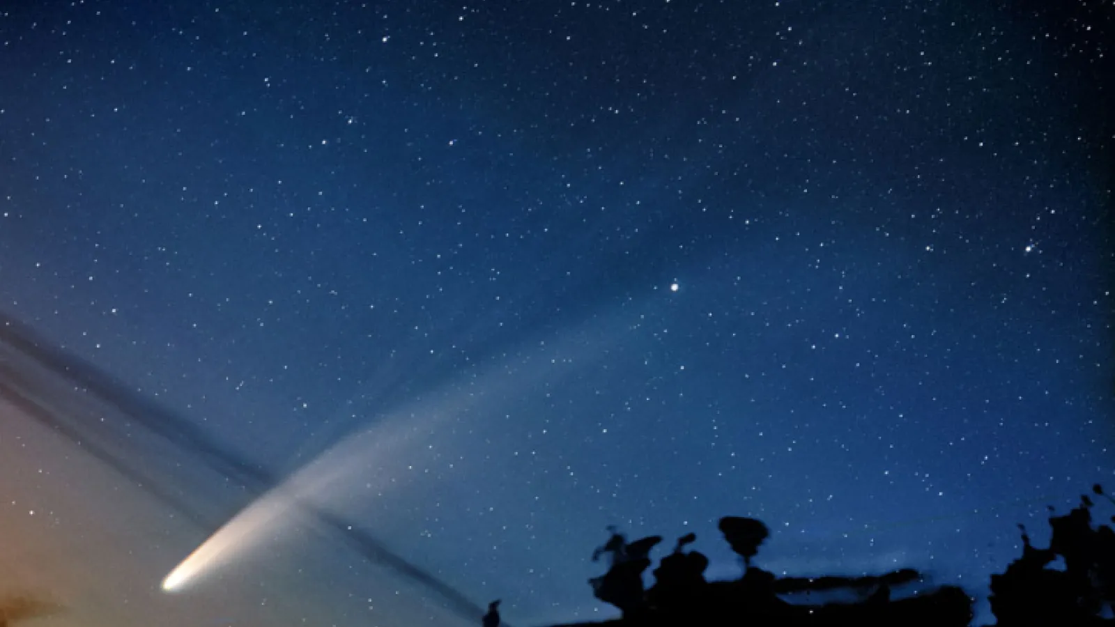 NEOWISE's dust trail
