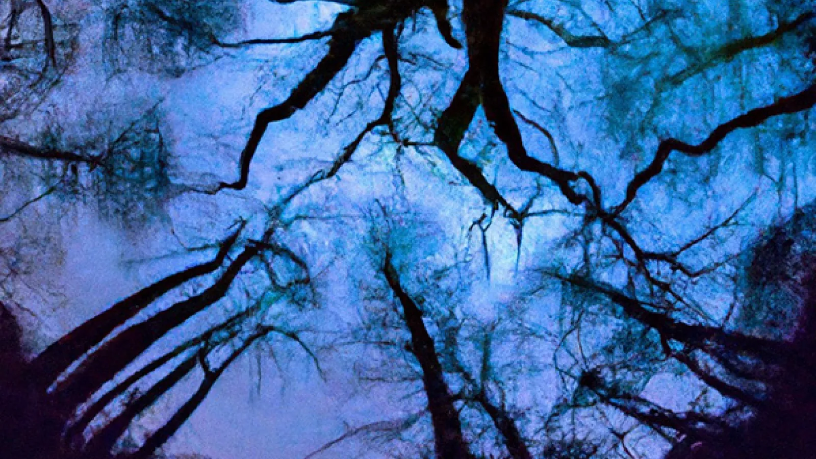 AI generated spooky forest