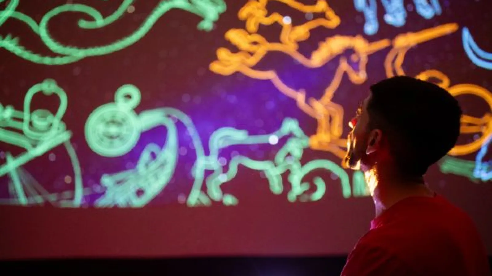 Person looking at Constellations in the Planetarium