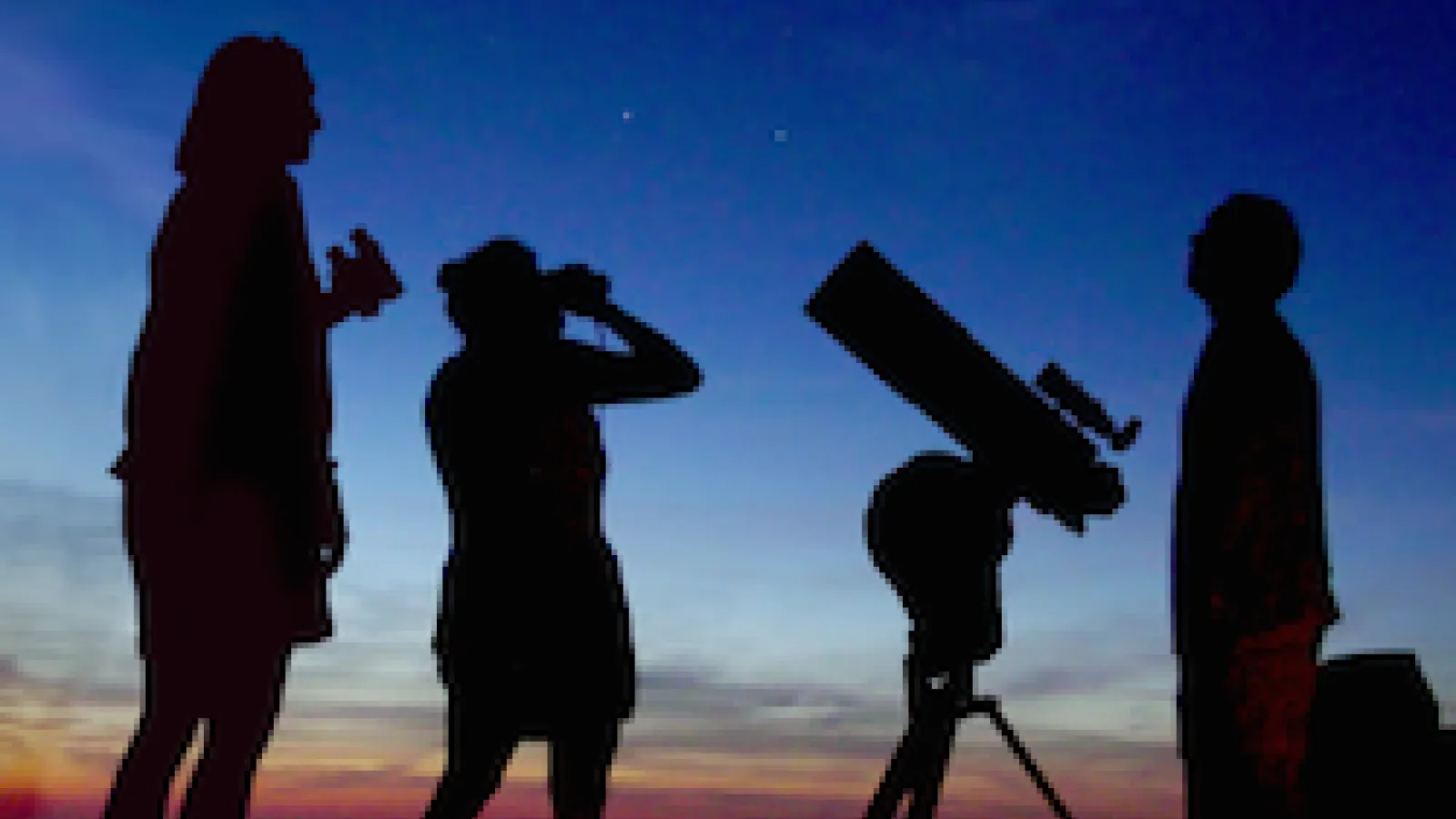 Silhouette of people enjoying star party